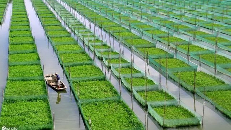 农业物联网设备选型，先看懂这三层技术逻辑
