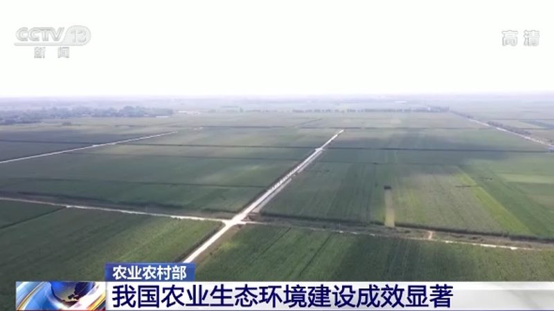 粮食种植，品牌之选：揭秘十大推荐品牌背后的故事**