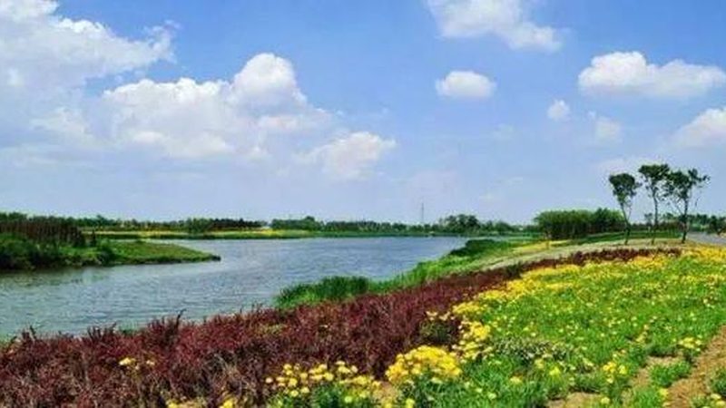 水果种植：农药采购批发价格的理性考量