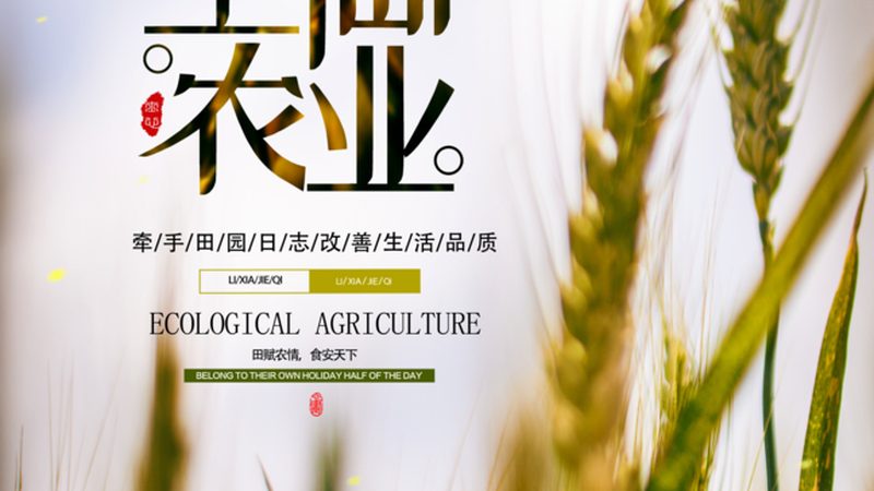 生态农业大棚种植产量提升方法