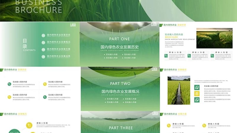 新手农业种植入门：注意事项与技巧解析